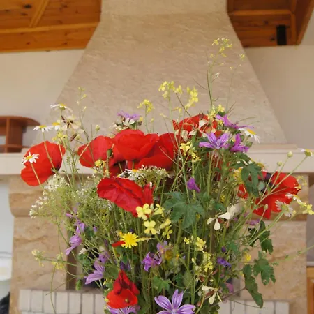 Venkovský dům Country House On Stara Planina 26