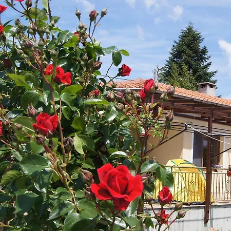 Country House On Stara Planina 26 *